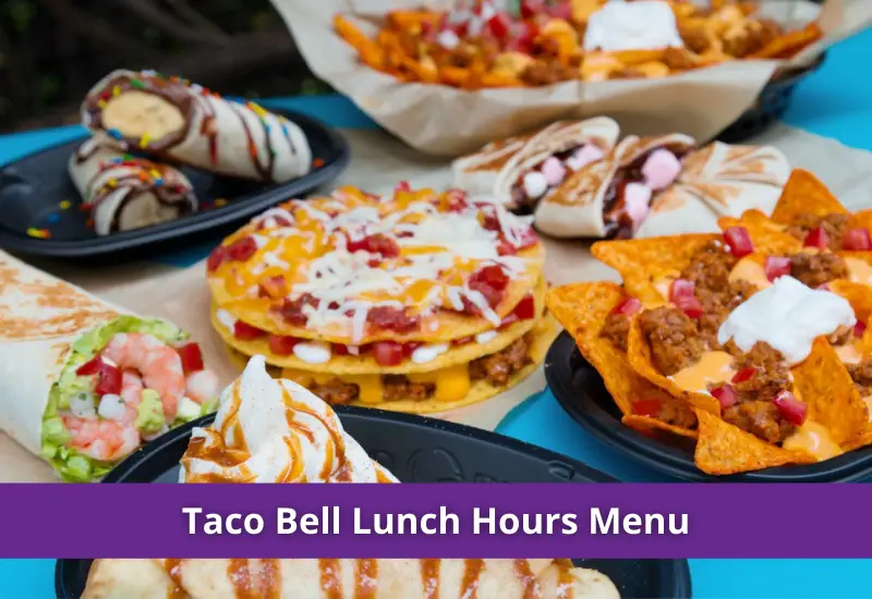 taco bell lunch hours